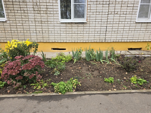 Не могу сдержать эмоции!!!!! ОЧЕНЬ НАДЕЮСЬ, ЧТО ЭТОТ ПОСТ...