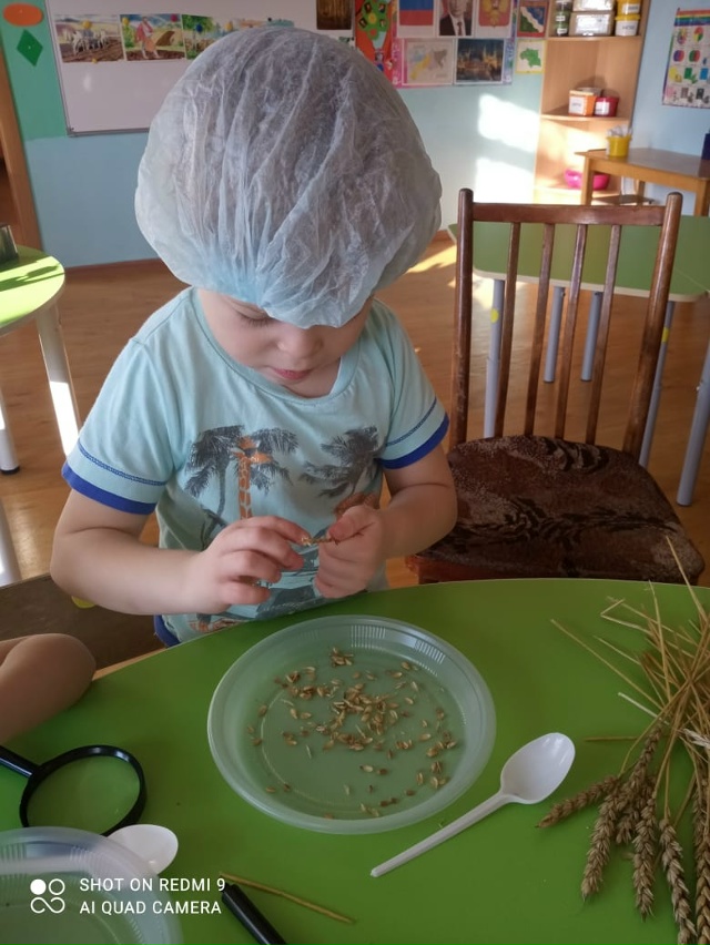 ?⭐️ Изучение профессии агронома в проекте 