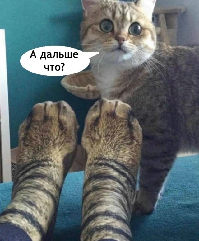 Ну это уже ни в какие ворота не лезет