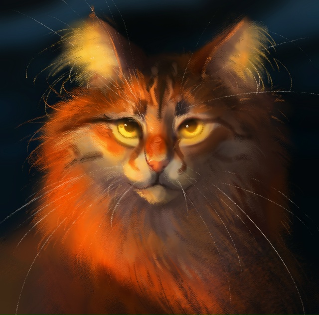 Листвичка в лучах заката
© [club135064616|Bezh]
#KV_ZZ_ART