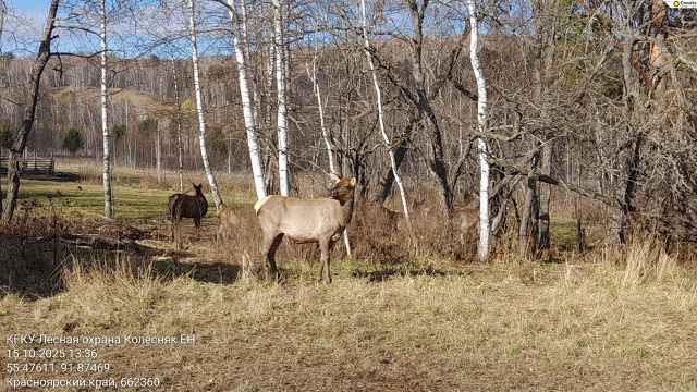 ? Охрана природы глазами студентов.
?Государствен?...