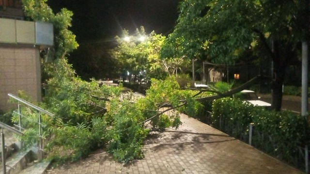 В Сочи спасатели расчищают завалы после разгула стихи?...