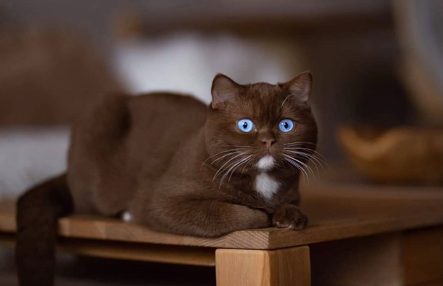 Шикарное сочетание!)