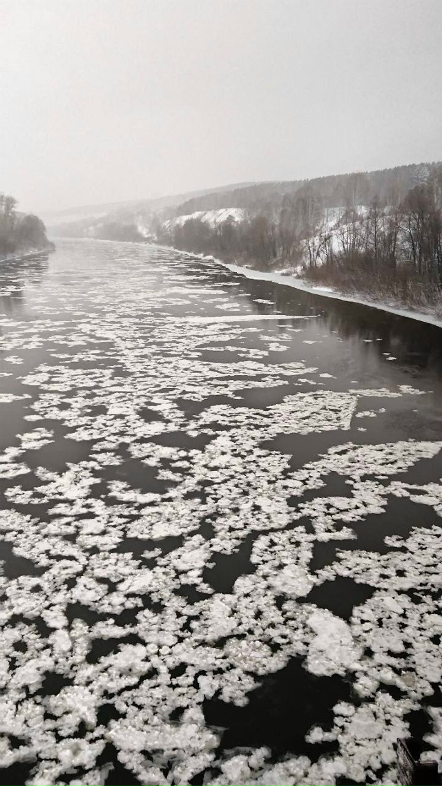 Ηa peкe Иня в Ηoвocибиpcкe зaфикcиpoвaли peдкoe явлeниe - cнeжуpу
Η...