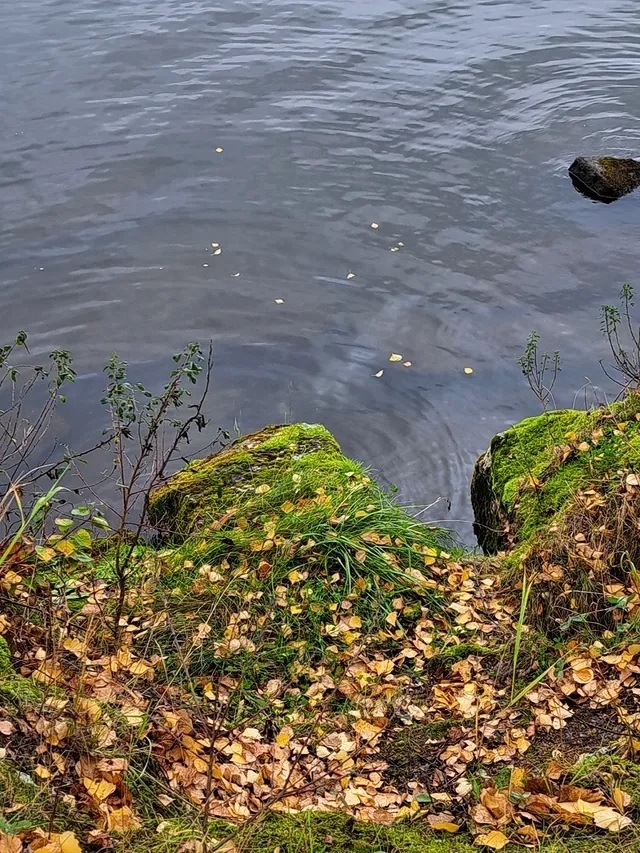 Красота осенней природы😍