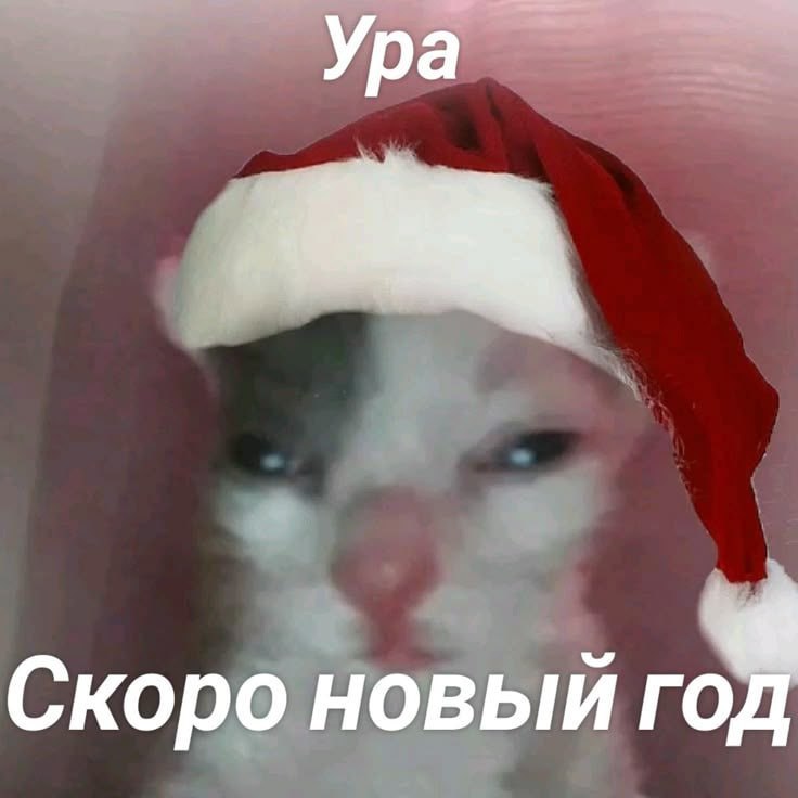 Утренняя подборочка