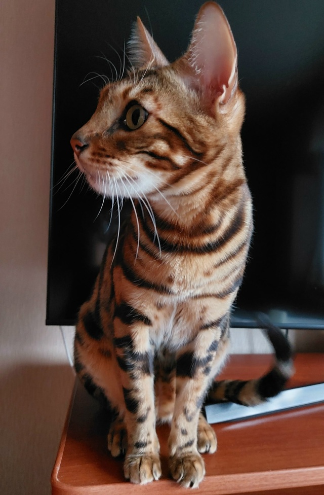 Ричард, 3 года!