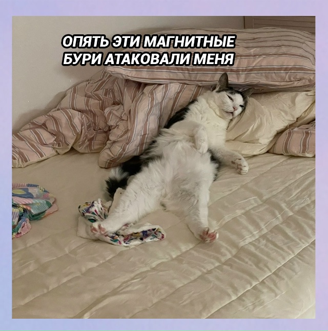 Ты в 20 лет: вечно молодой, вечно пьяный
Ты в 30+ лет: