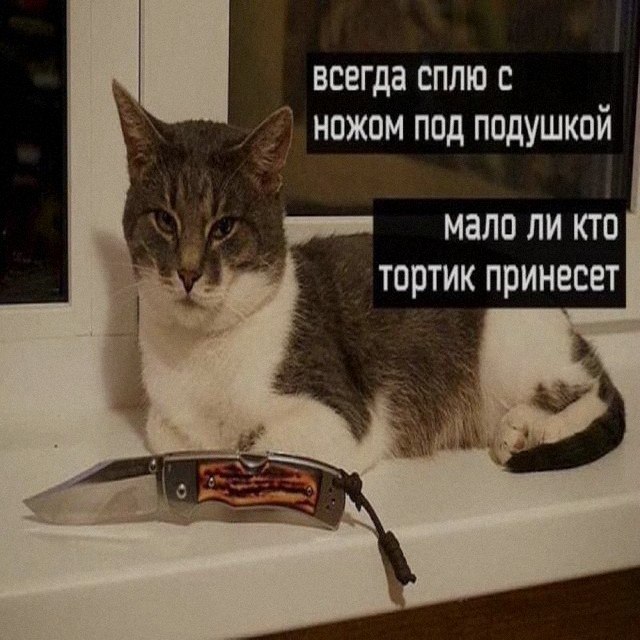 Ночная подборочка
Спать, режим