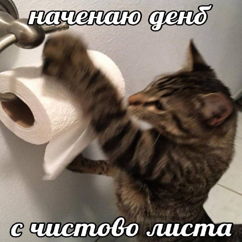 Утренняя подборочка