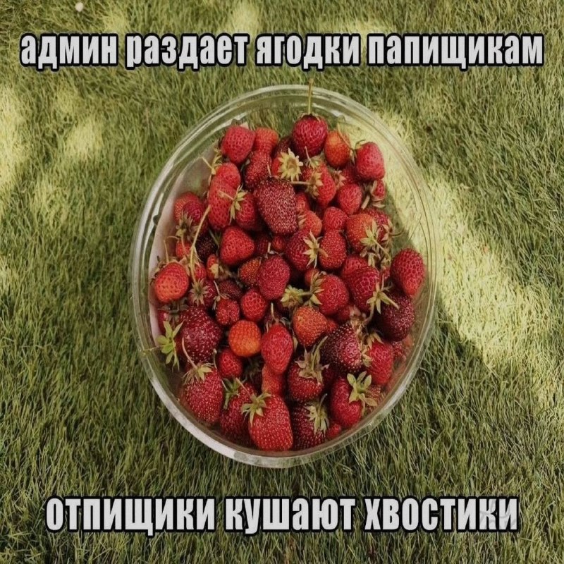 Ночная подборочка
Выходные, не спим