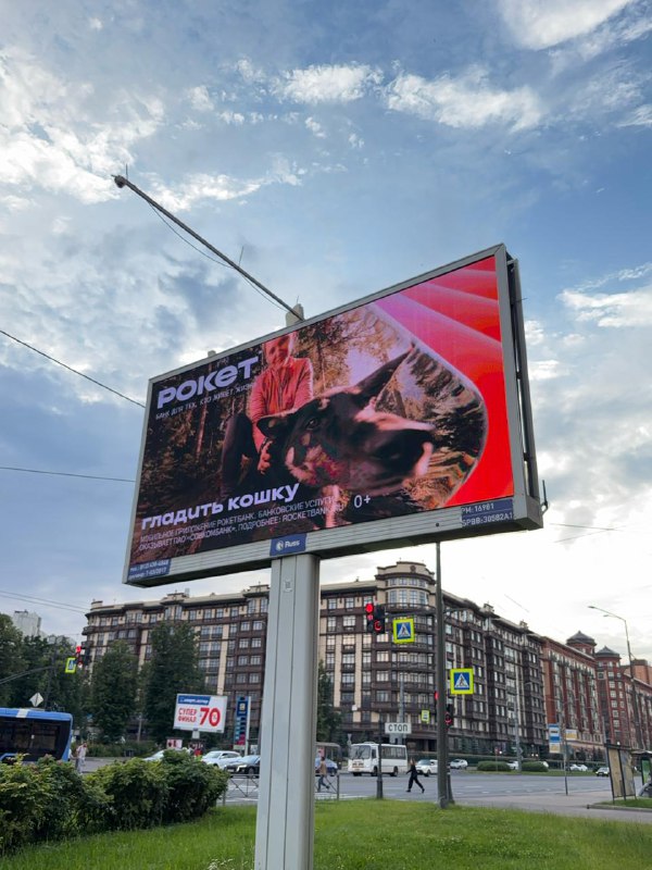 В Питере реклама настолько разная, что кошка может выглядеть и так. Рокетбанк с задачей «привлечь вн