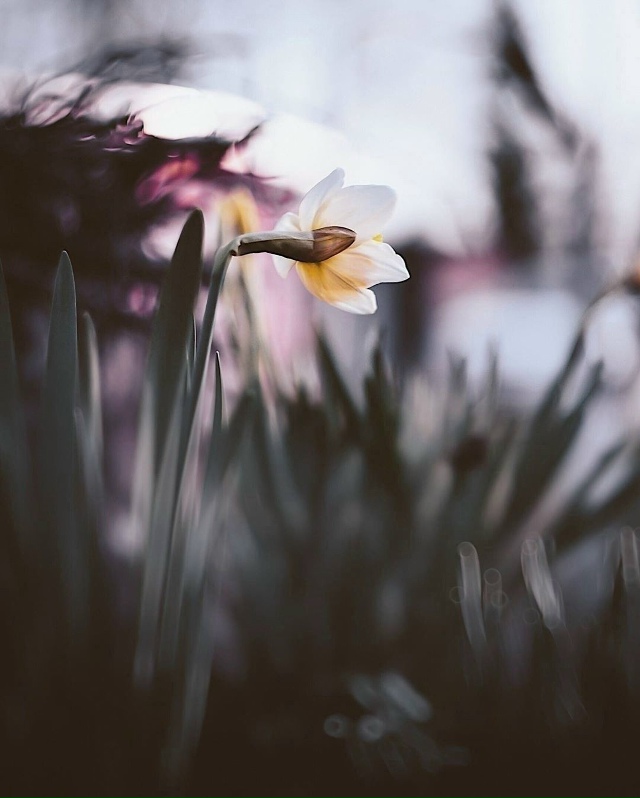 важно одно: не озлобиться от разочарований, научиться ?...