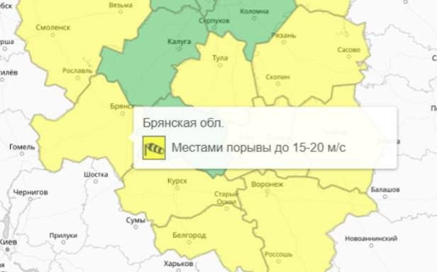 ‼️ Желтый уровень погодной опасности объявили в Брян?...
