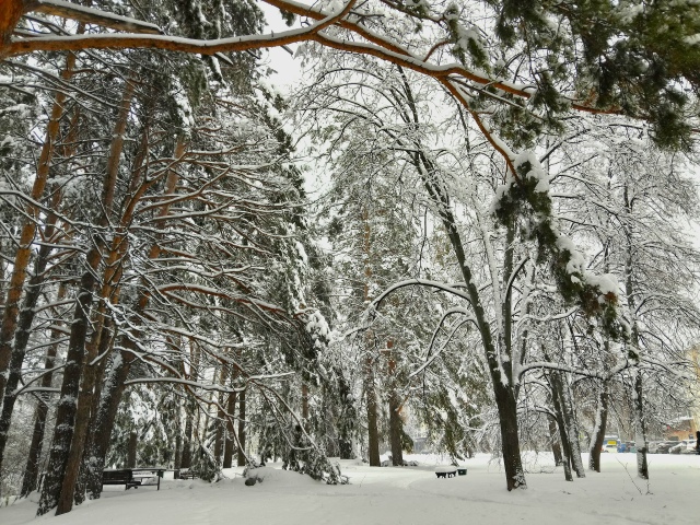 «Акaдeмгopoдoк зaвaлeн cнeгoм. Убopoчнaя тeхникa букcуeт в cугpoбa...