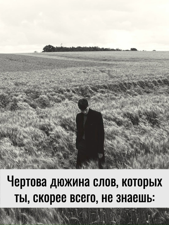 Чертова дюжина слов, которых ты, скорее всего, не знаеш?...