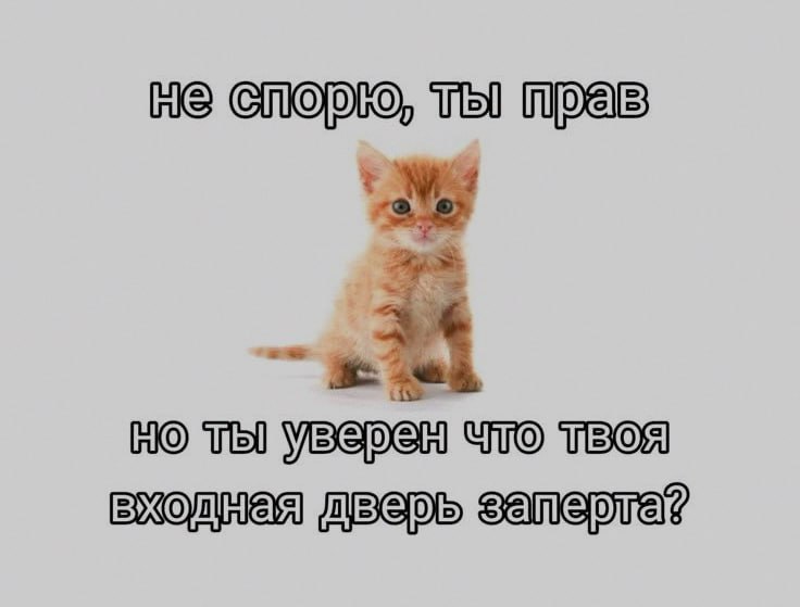 Ночная подборочка
Спать, режим