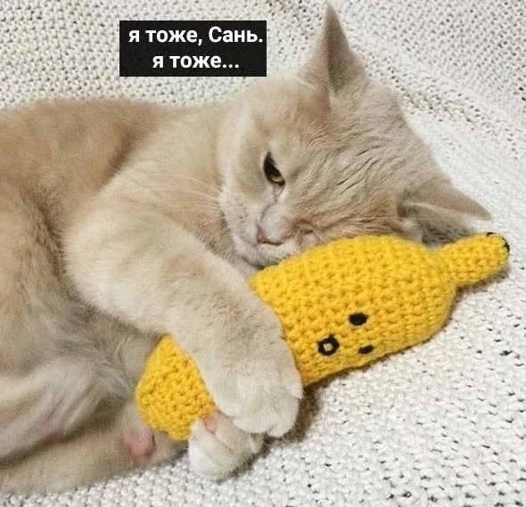 Саш, помоги