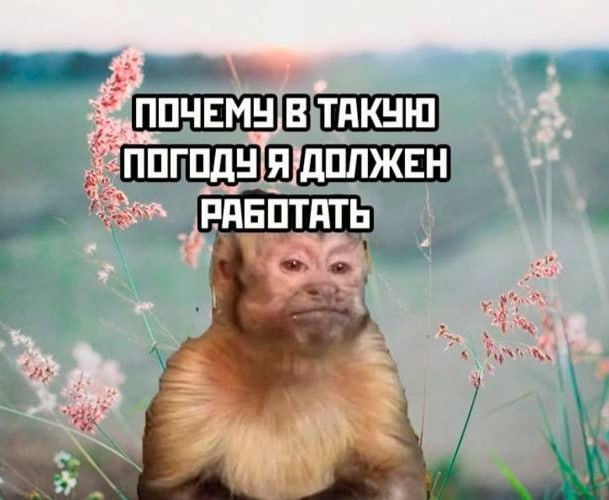 Утренняя подборочка