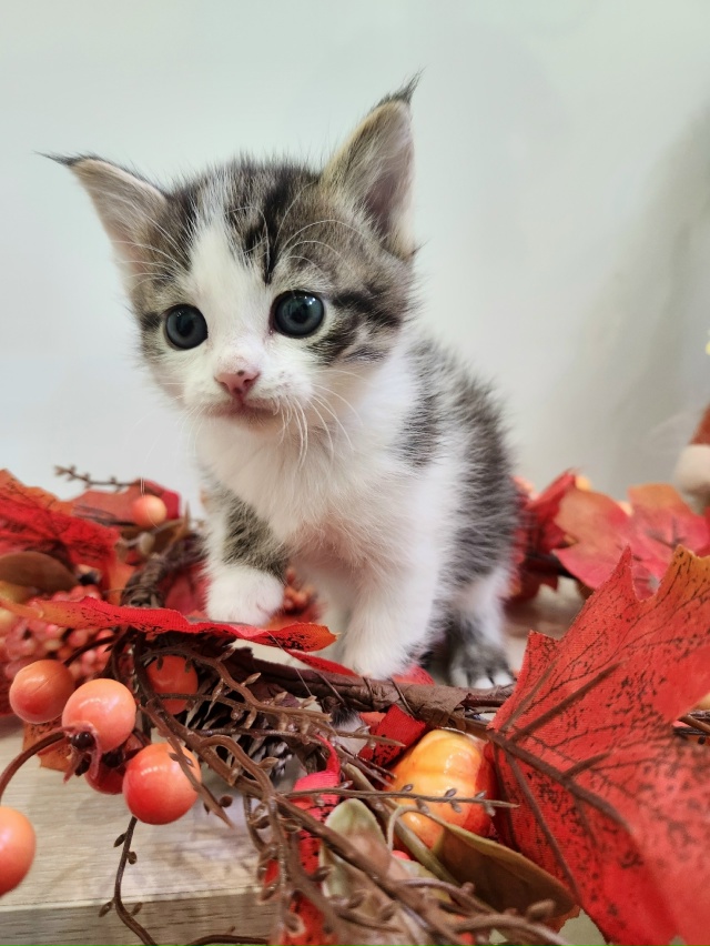 ВОЛГОРЕЧЕНСК ❗
ОСТОРОЖНО и НЕСПЕШНО начинаем искать ...