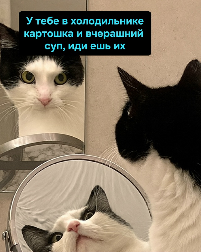 Разум говорит “суп”, сердце — “роллы, пицца”, желудо?...