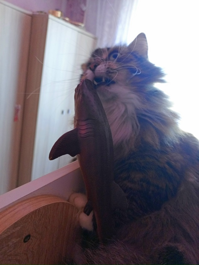 вот настолько бедный шпендель, нынешние цены на корм —...