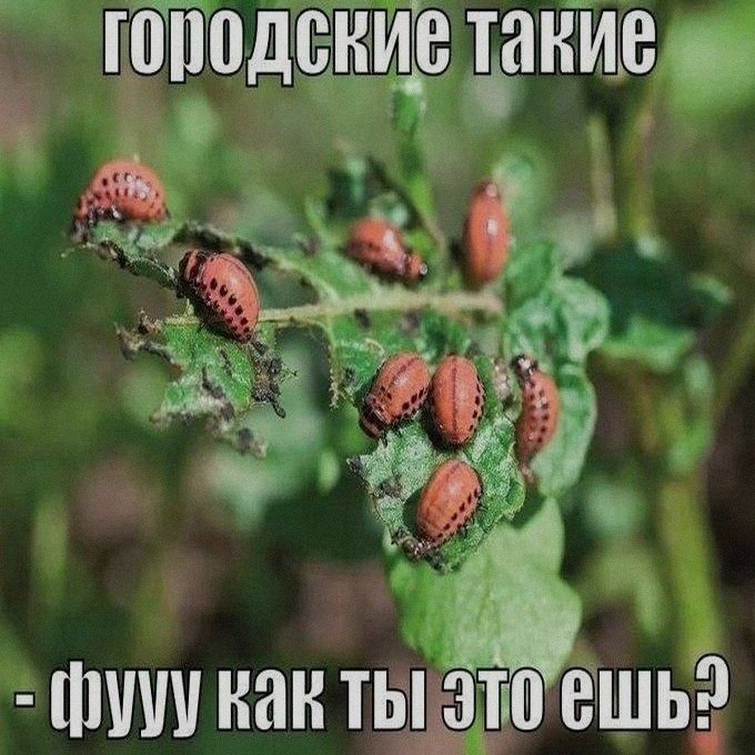 Ночная подборочка
Спать, режим