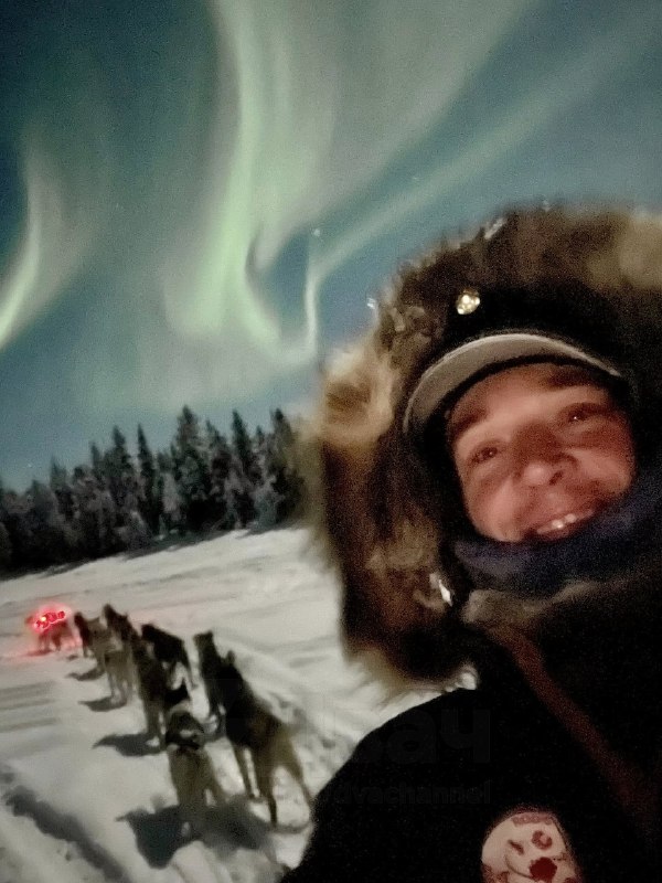 Житель Аляски снял самое красивое видео месяца — ночную поездку на собачьей упряжке под северным сия