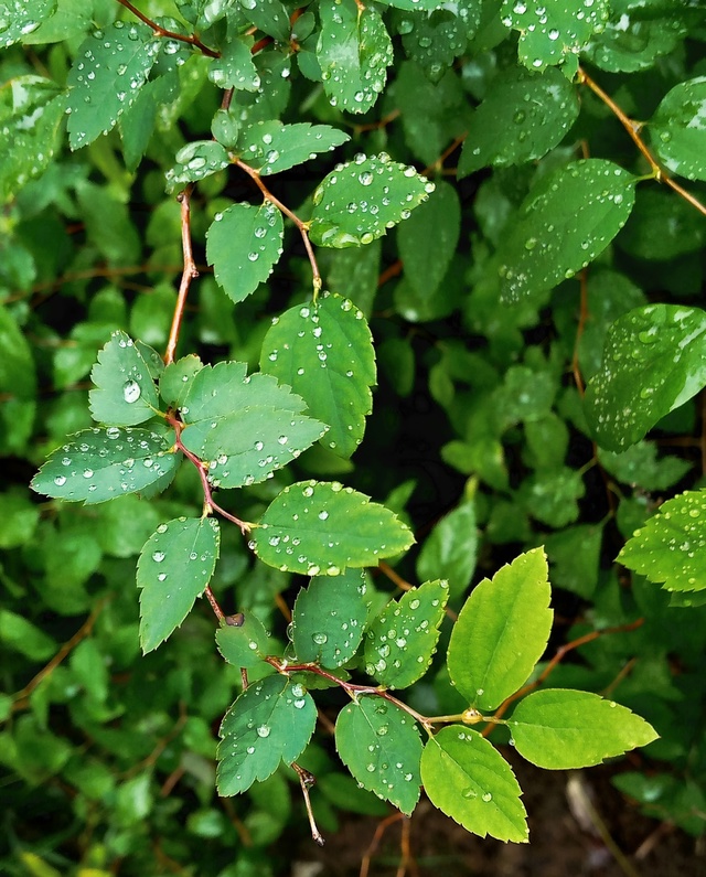 Доброй ночи, Никольск❤