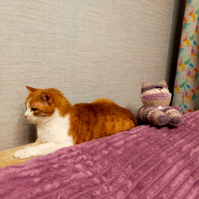 #егобезейшество
найдите, как говорится, десять отличи?...