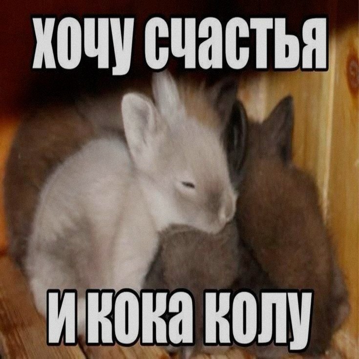 Ночная подборочка
Выходные, не спим