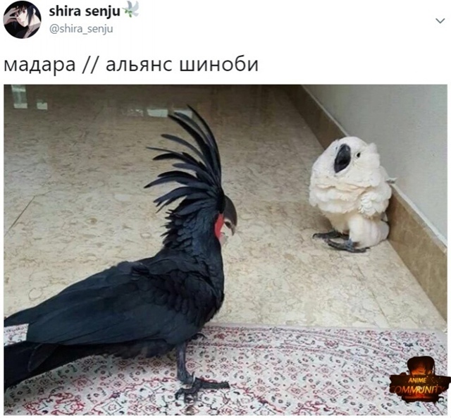 Аниме