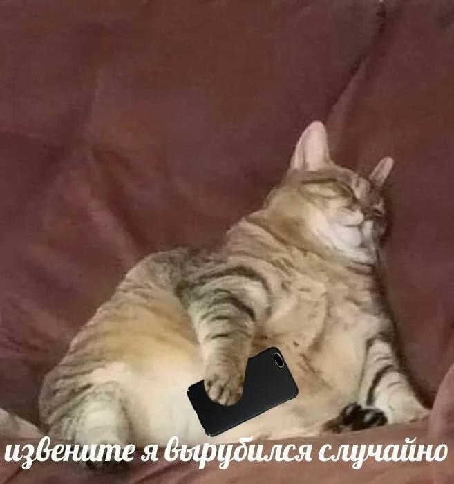 20 Июля – День дневного сна.
Проснулись? Идите спать.