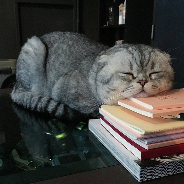 Подскажите пожалуйста у нас есть мастера по обучению н...