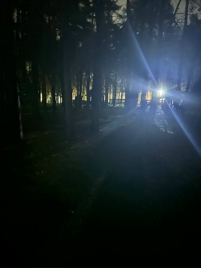 Дорогие соседи, яркого вам вечера)) Выбирайте пути обхо...