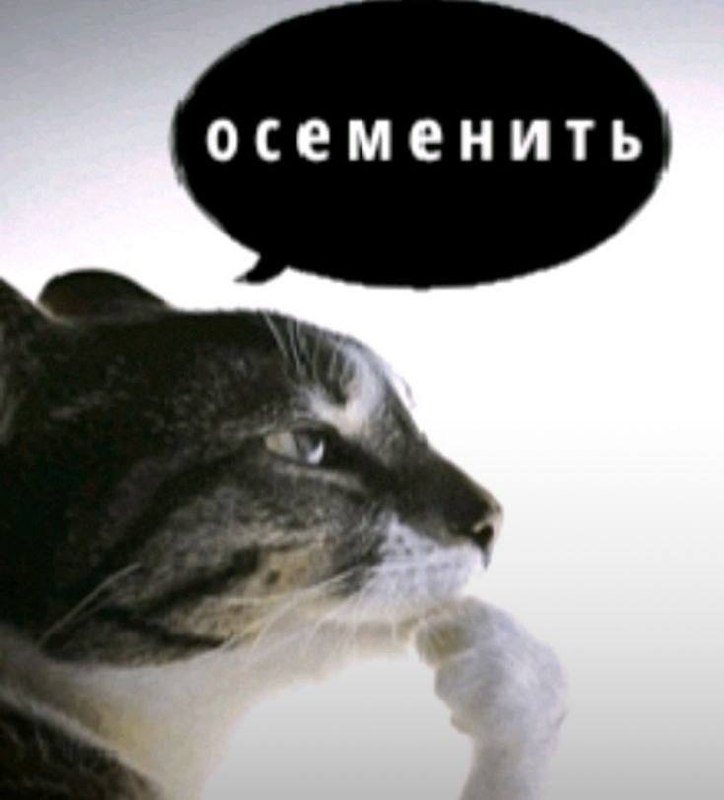 Я: фу, мужики такие пошлые
Я, когда подруга выставила огненную фотку: