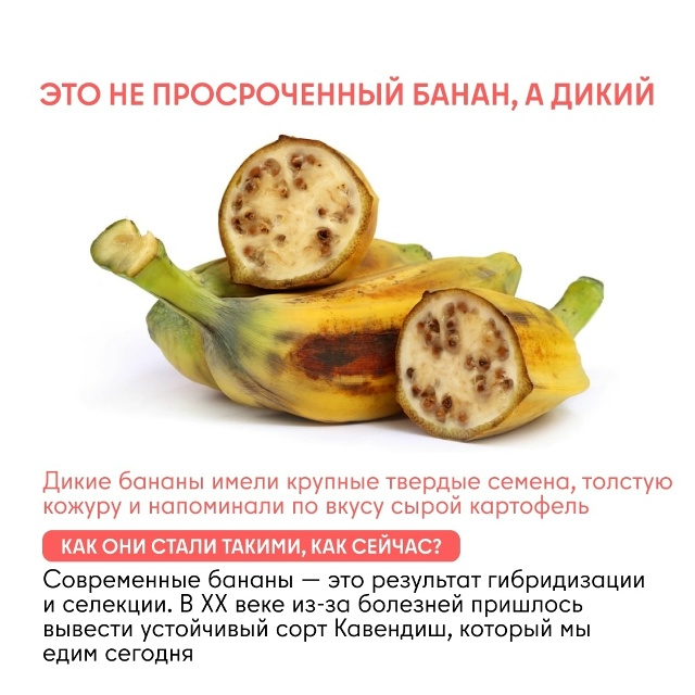 Как изменились овощи и фрукты за тысячи лет Задумывал...