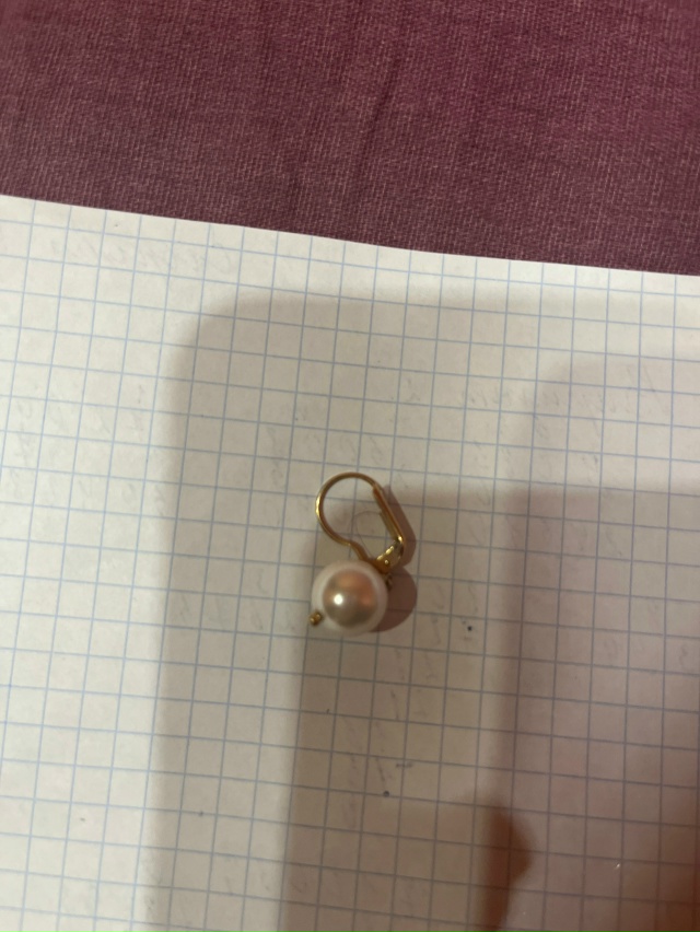 Ребенок потеряла серьгу ,просьба вернуть за вознаграж?...