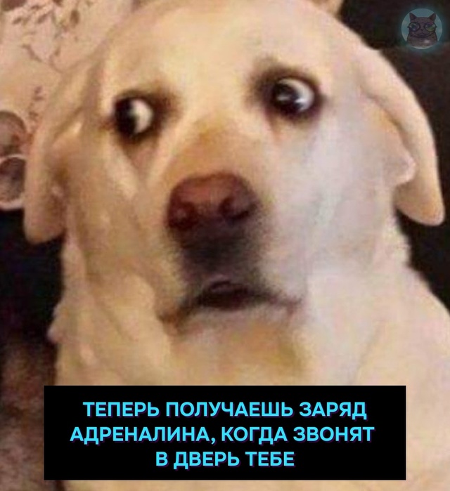 Когда тебе немного за 30 лет