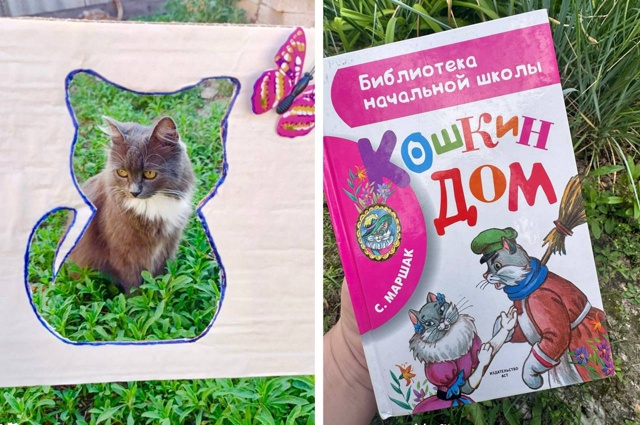 📚☀️Лето для юных терсинцев – это не только пора безз...