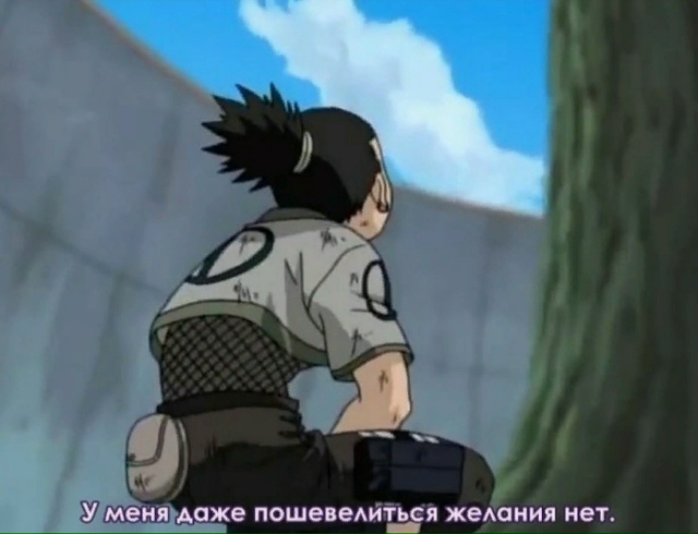 Как вам подборка?