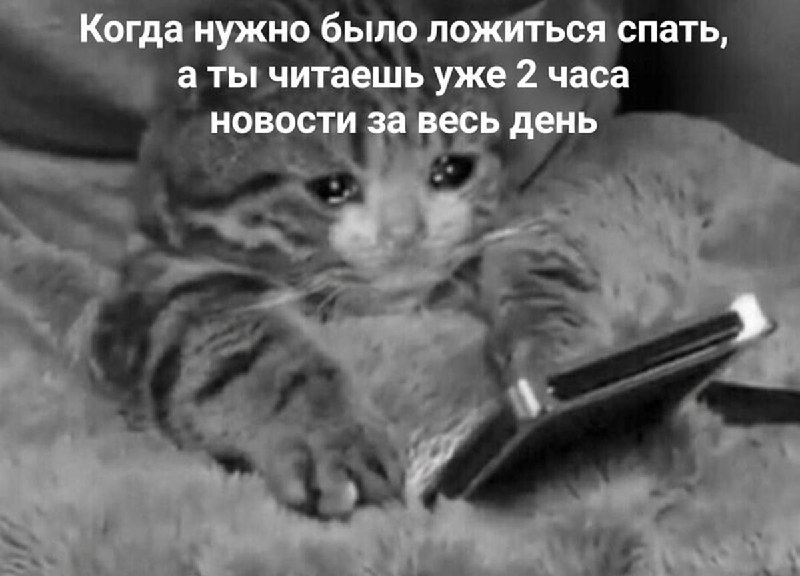 Россияне массово заболели бессонницей из-за блокировок.
Днём нормальной связи нет, поэтому вечером,