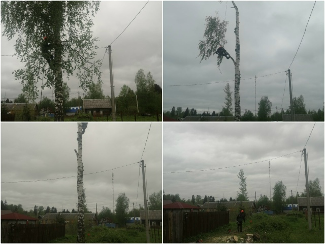 Спил деревьев любой высоты и сложности. Рядом с домом, ?...