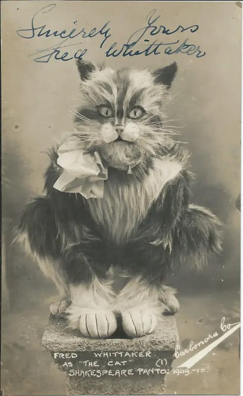 ⚡️Фурри появились в 19 веке 😯
Судя по исследованиям фурри-историков, первые фурри-костюмы в привычн