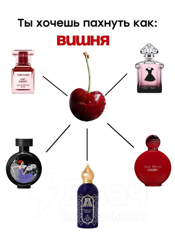 В Сети собрали список парфюмов с разными запахами: от шампуня до вишни.
Забирай, если ты до сих пор