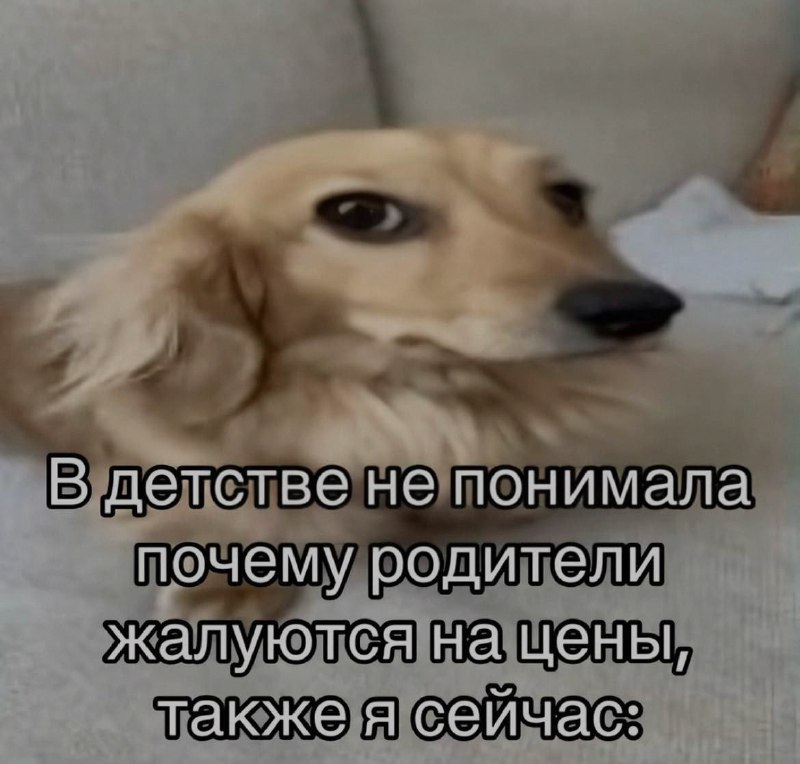 Ночная подборочка
Спать, режим