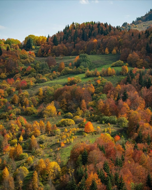 Северная Осетия 🇷🇺
