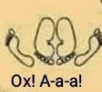 Семейный диалог каждый вечер?