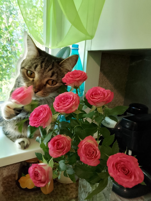 Кекс и розы)))