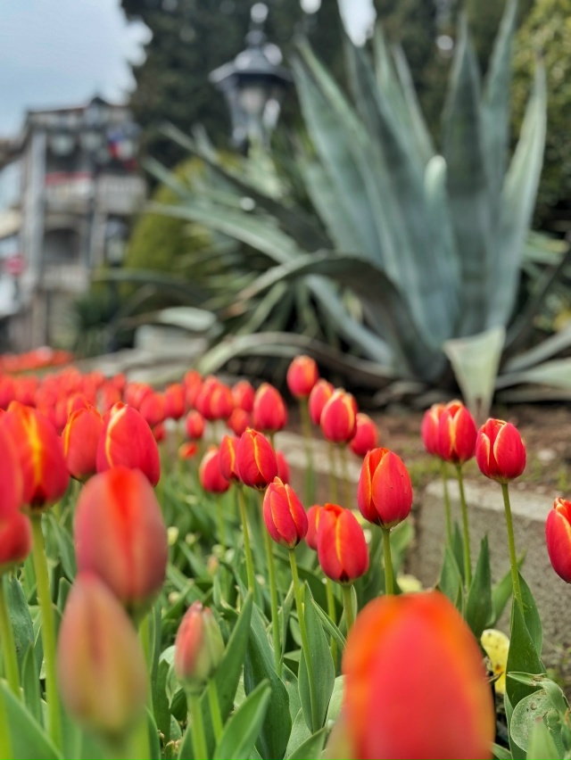 💎 Алупка - новая жемчужина Южного берега Крыма 🌷
Сотр...